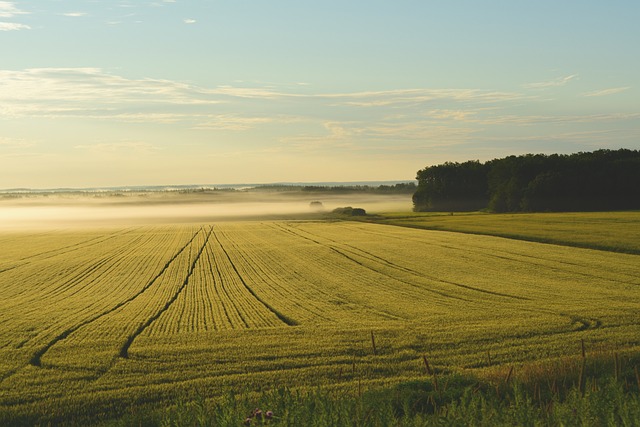 agriculture