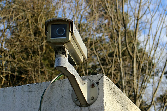 surveillance